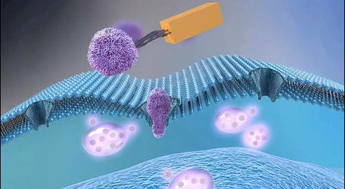 纳米铜镍合金（CuNi）Nickel Copper alloy nanoparticles