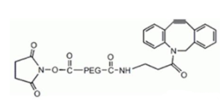 DBCO-PEG-NHS