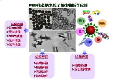 PEG化球形金纳米颗粒