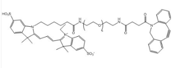 CY3-PEG-DBCO