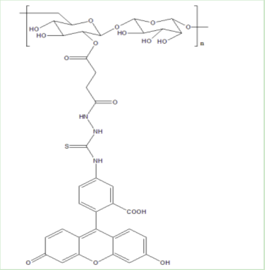 葡聚糖-环糊精,Dextran-Cyclodextrin的外观状态