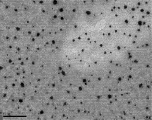 PEG-SH修饰水溶性Ag2S量子点发射波长1100-1500nm之间