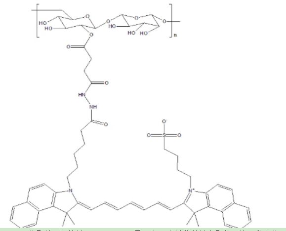 葡聚糖-吲哚菁绿,ICG-Dextran,ICG标记葡聚糖