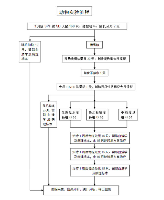 动物造模的实验原理以及实验流程 动物造模的实验原理以及实验流程