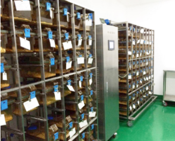 实验外包服务介绍 实验外包服务介绍