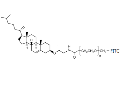 Cholesterol-PEG-FITC 胆固醇-聚乙二醇-荧光素 荧光标记自组装PEG脂质体