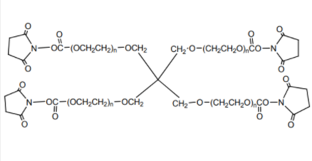 4臂星形-聚乙二醇-N-羟基琥珀酰亚胺