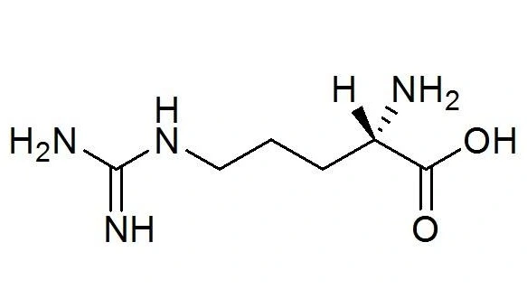 葡聚糖-聚精氨酸 Dextran-Poly-Arginines