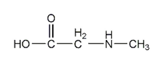 葡聚糖-聚肌氨酸 Dextran-Poly-Sarcosines	