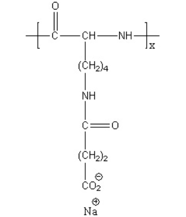 Poly(L-lysine succinylated)