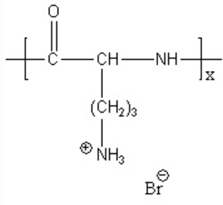 PLO 聚L鸟氨酸氢溴酸盐 聚氨基酸 CAS 27378-49-0