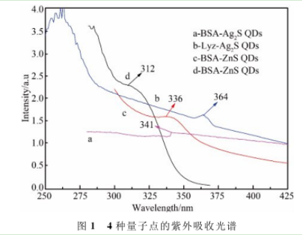 溶菌霉包裹Ag2S量子点 Lyz-Ag2SQDs