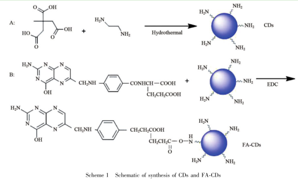 叶酸共价修饰碳量子点(FA-CDs)