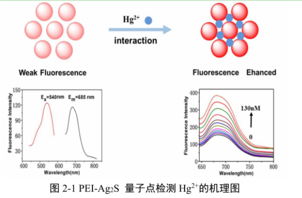 聚乙烯亚胺包覆硫化银量子点(PEI-Ag2S)