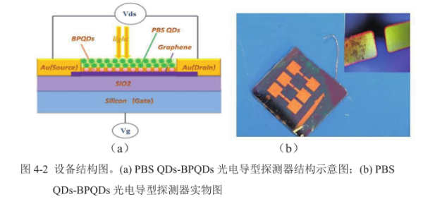 硫化铅量子点功能化黑磷量子点 PbSQDs-BPQDs