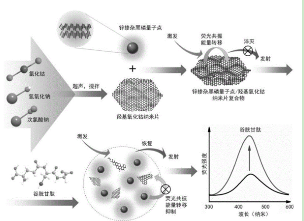 锌掺杂黑磷量子点(Zn-BPQDs)