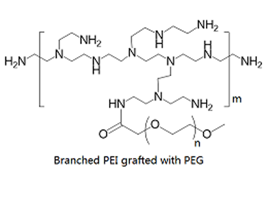 PEG化聚乙烯亚胺