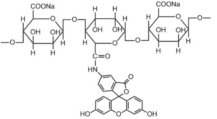 绿色荧光素标记海藻酸钠