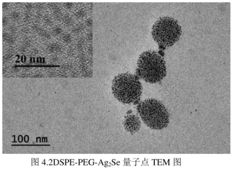 DSPE-PEG修饰硒化银Ag2Se量子点