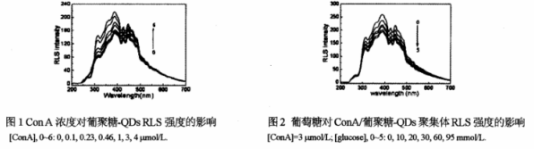 葡聚糖修饰CdSe（硒化镉）量子点