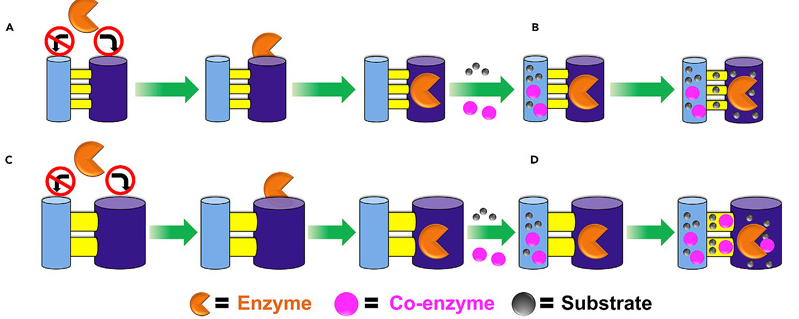 NU-100x(x = 3, 4, 5, 6, 7)系列锆基MOF NU-100x(x = 3, 4, 5, 6, 7)系列锆基MOF