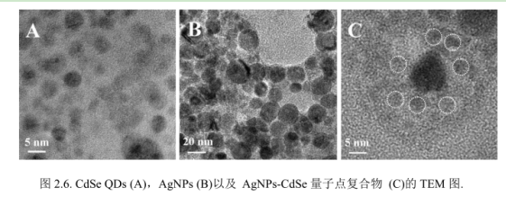 AgNPs-CdSeQDs纳米复合物