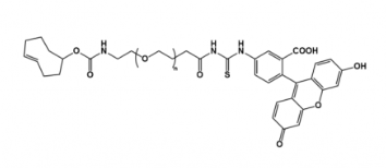 TCO-PEG-FITC    反式环辛烯聚乙二醇荧光素   