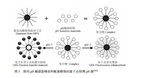 巯基丙酸修饰CdTe碲化镉量子点