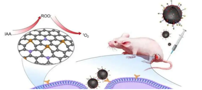 荧光分子探针Cy7-Rituximab单克隆抗体