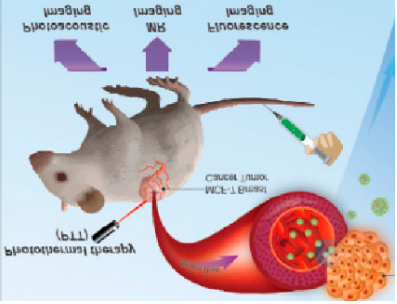 HSA-DOX-ICG@HA，人血清白蛋白偶联吲哚菁绿包载透明质酸