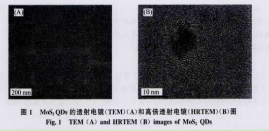 L-半胱氨酸功能化MoS2荧光量子点