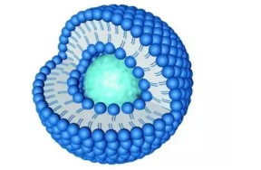 大豆磷脂酰乙醇胺-甲氧基聚乙二醇2000