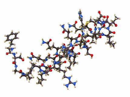 CAG多肽修饰磁性四氧化三铁纳米颗粒 CAG多肽修饰磁性四氧化三铁纳米颗粒