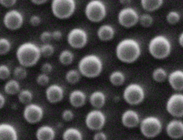 多肽修饰壳聚糖川芎嗪纳米粒