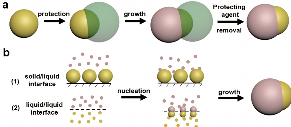 富精氨酸多肽修饰的Fe2O3@Au纳米粒子 富精氨酸多肽修饰的Fe2O3@Au纳米粒子