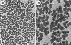 R8GD多肽修饰大黄素脂质体