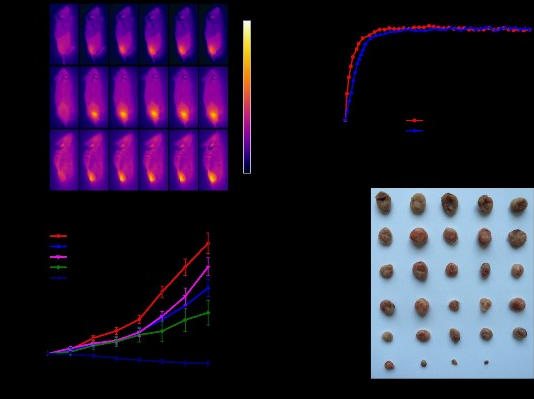 pH敏感多肽修饰载紫杉醇脂质体(p HS-LP-PTX) pH敏感多肽修饰载紫杉醇脂质体(p HS-LP-PTX)