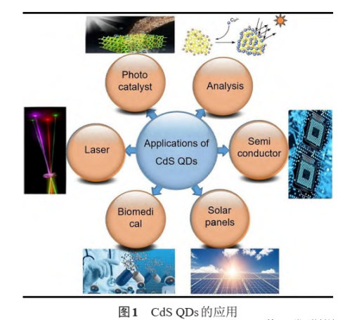 硫化镉量子点修饰AIE荧光探针分子