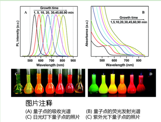 CdTe/CdS量子点负载PEI-MWCNTs CdTe/CdS量子点负载PEI-MWCNTs