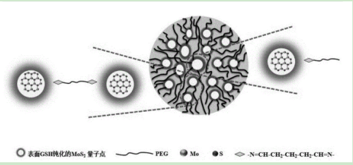 mos2-peg纳米微球