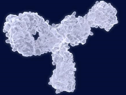  TAQuest qPCR Master Mix 用于TaqMan探针 无ROX