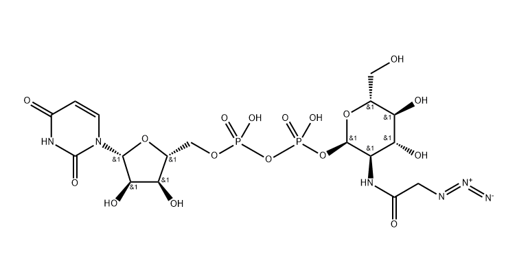 UDP-GalNAz UDP-GalNAz