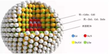  核壳量子点CdTe/CdS修饰牛血清白蛋白(BSA)   CdTe/CdS-BSA