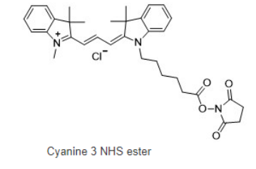Cy3 NHS ester，cas:146368-16-3，Cy3-琥珀酰亚胺/活化酯