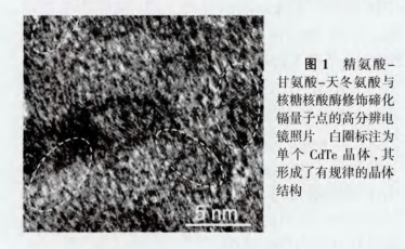 RGD-CdTeQDs RGD-CdTeQDs