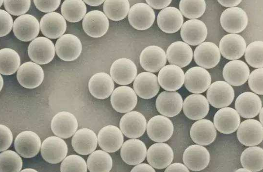 单分散二氧化硅微球(1μm)适用于免疫测定 单分散二氧化硅微球(1μm)适用于免疫测定