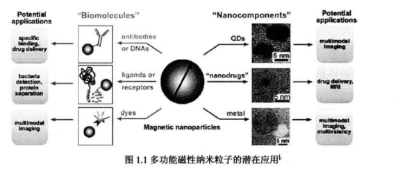 亲水性Fe304磁性/ZnS量子点复合微球