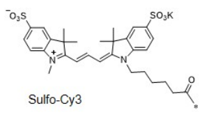 Sulfo-Cyanine3