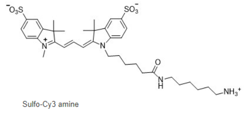 Sulfo-Cyanine3