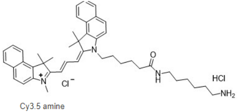 Cy3.5-NH2